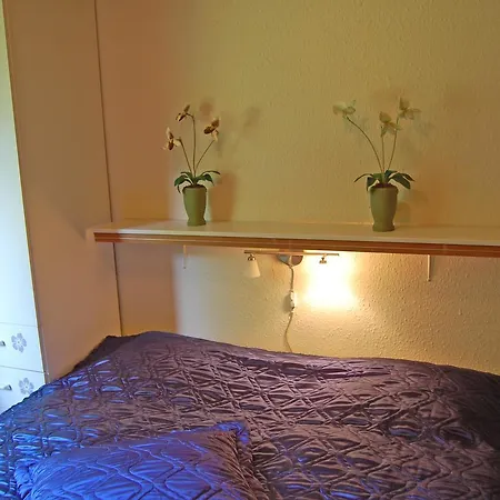 Tatil Evi Holiday 098869 - Lyngsa *